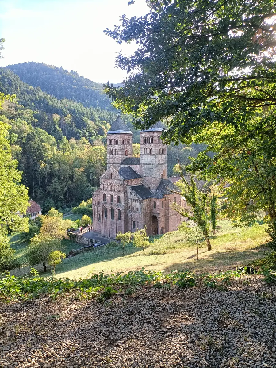 L'abbatiale de Murbach vue du chemin de Lorette, fin d'après-midi de septembre 2026.